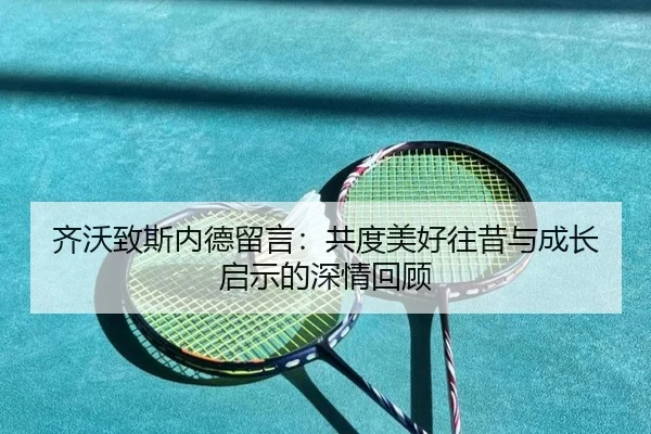 齐沃致斯内德留言:共度美好往昔与成长启示的深情回顾